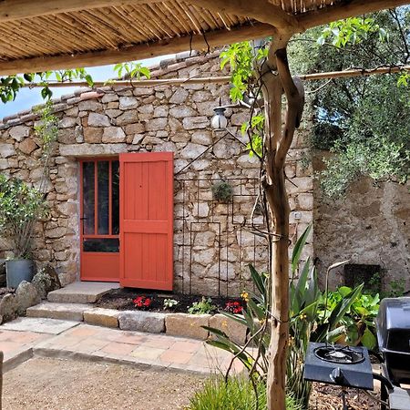 Stazzu La Capretta Farm Camping & Guest Rooms Όλμπια Εξωτερικό φωτογραφία