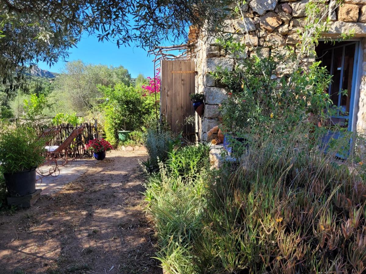 Stazzu La Capretta Farm Camping & Guest Rooms Όλμπια Εξωτερικό φωτογραφία
