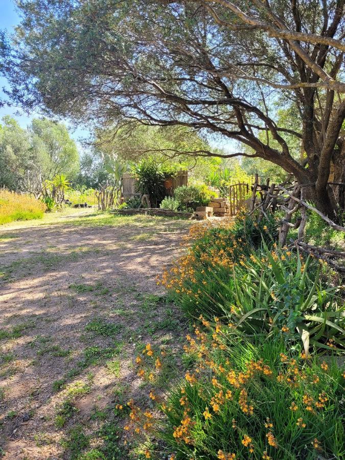 Stazzu La Capretta Farm Camping & Guest Rooms Όλμπια Εξωτερικό φωτογραφία
