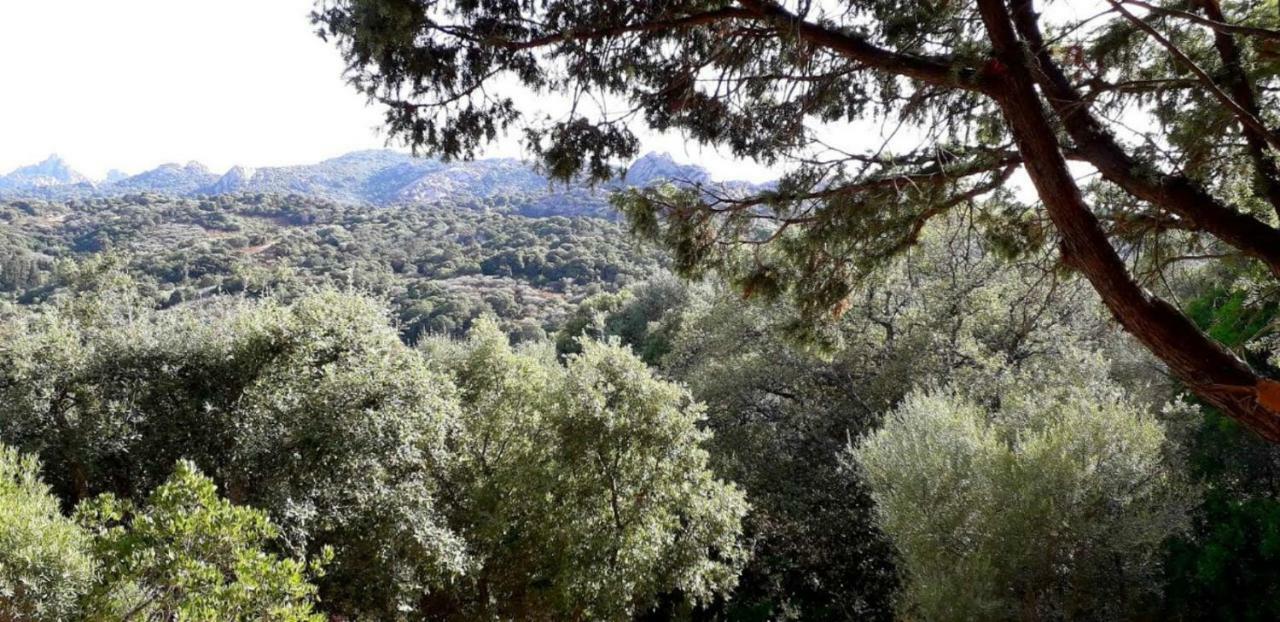 Stazzu La Capretta Farm Camping & Guest Rooms Όλμπια Εξωτερικό φωτογραφία