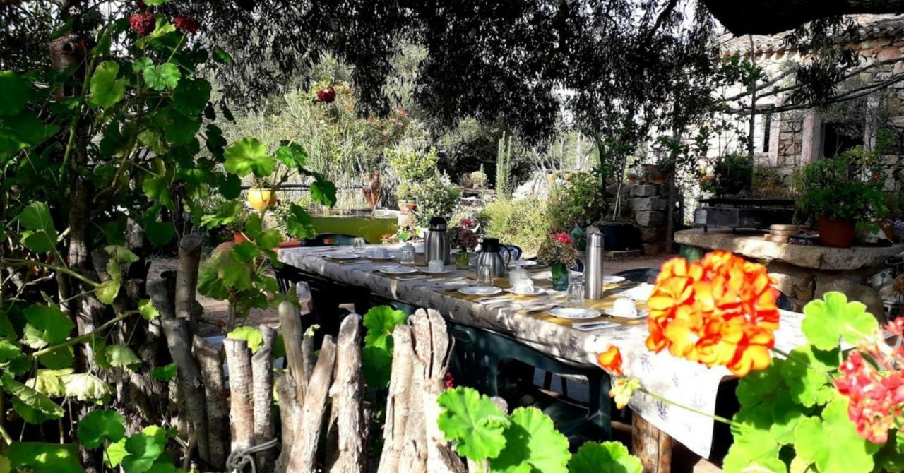 Stazzu La Capretta Farm Camping & Guest Rooms Όλμπια Εξωτερικό φωτογραφία