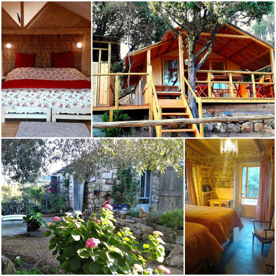 Stazzu La Capretta Farm Camping & Guest Rooms Όλμπια Εξωτερικό φωτογραφία